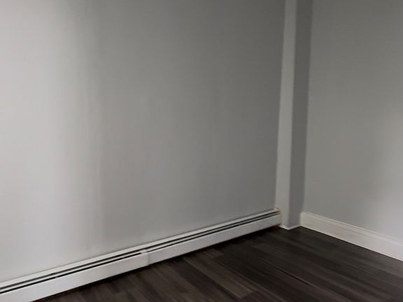 3rd image of 255 Lafayette St Floor 1