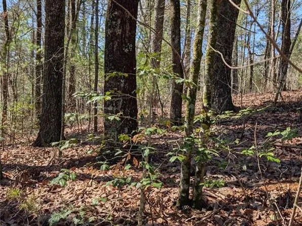 0 Amber Ln #91, Ellijay, GA 30540