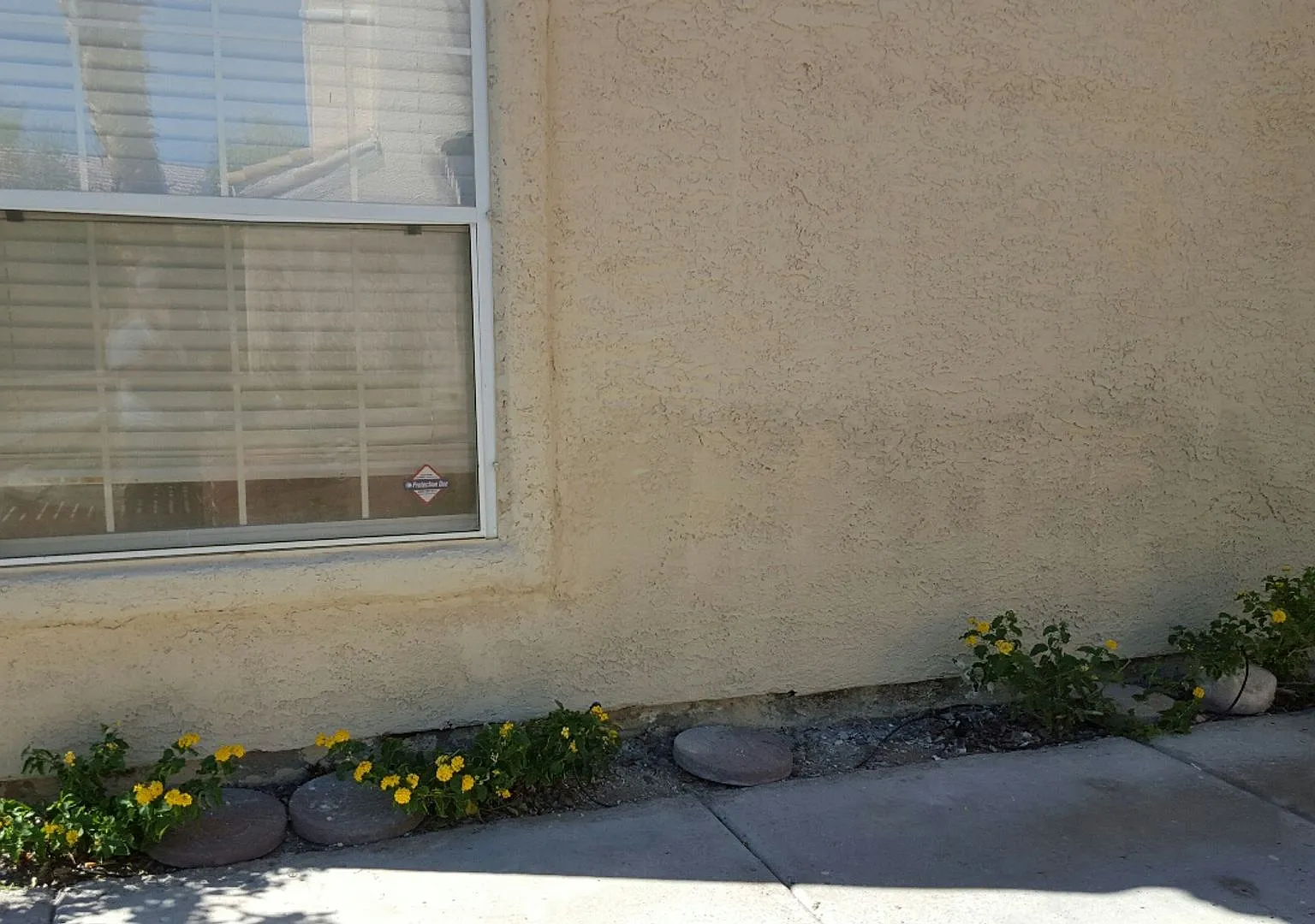 Summerlin Condo — Photo 3