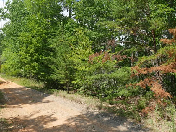 0 Wesley Dr, Madison Heights, VA 24572