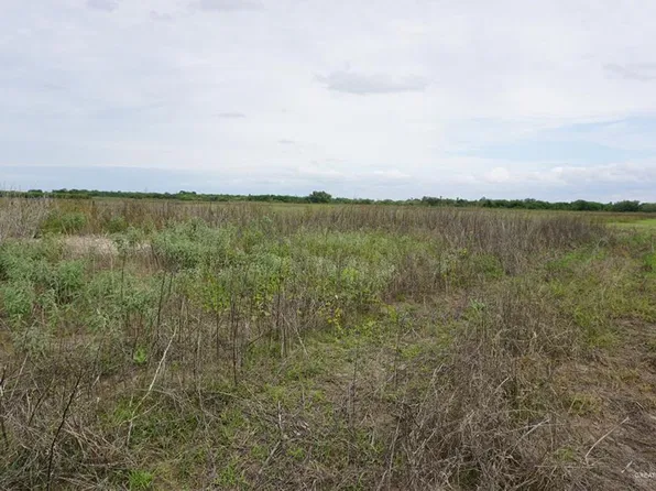 1/2 Jesus Flores Rd, Edcouch, TX 78538