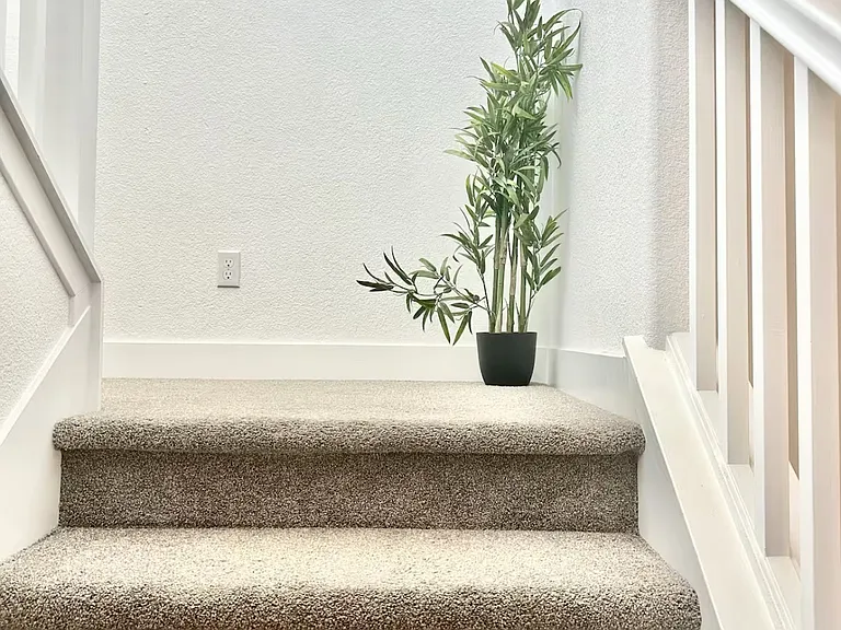 2437 Explorador Dr — Photo 12