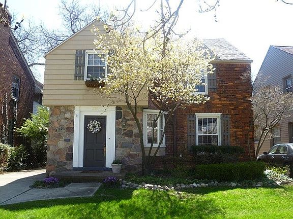 Beautiful Service Berry Tree