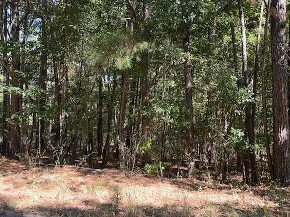 336 Wynterhall Dr, Griffin, GA 30224