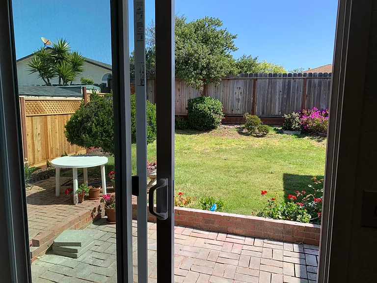 back yard