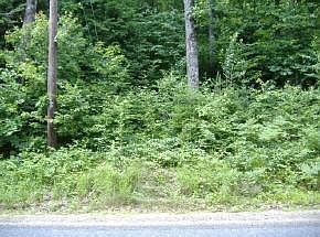 1st image of Lot 122 Paulsen Circle