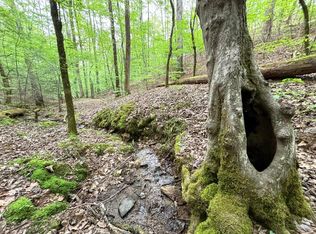 Gibe Ct, Ellijay, GA 30540