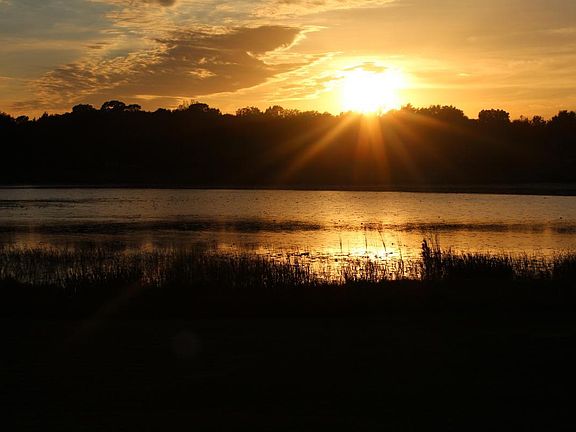 Backyard sunset