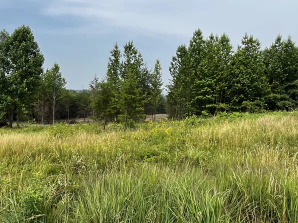 0 Tower Rd Lot 6, Grandview, TN 37337