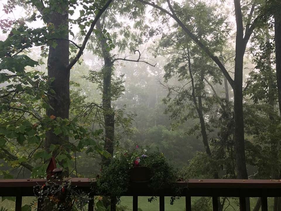 1st image of 2303 S Woodbluff Ct