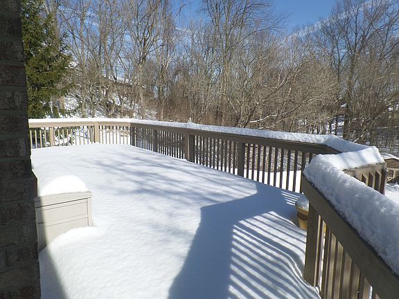 4th image of 3822 Foxtail Ln