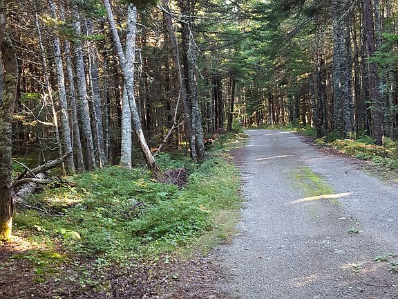 Road - Cape Split to Nash Ln