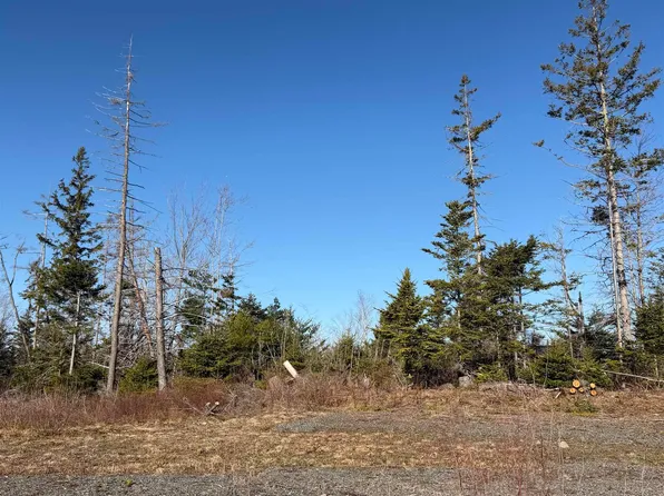 32 Birch Hill Dr, Stellarton, NS B0K 1S0