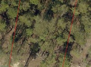 SW 43rd Ter LOT 6, Ocala, FL 34473