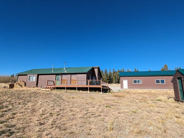 170 Foxtail Ct, Fairplay, CO 80440