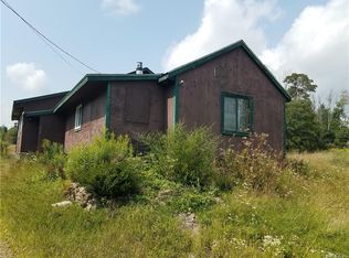 9729 Newton Rd, Canaseraga, NY 14822