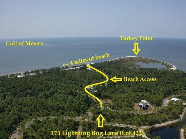 173 Lightning Bug Ln E Lot 423, Sopchoppy, FL 32358