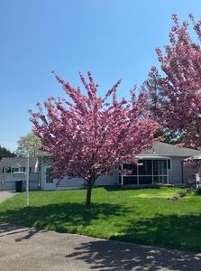 494 Gillette Avenue, Bayport, NY, 11705