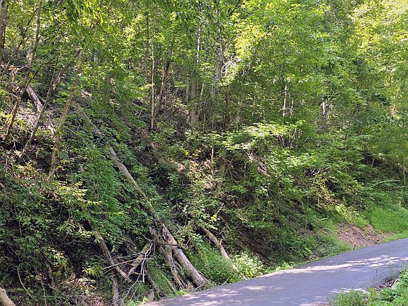 4th image of LOT 5 Sugar Maple Loop Rd