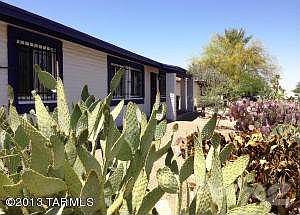 Shumaker - Front East Cacti