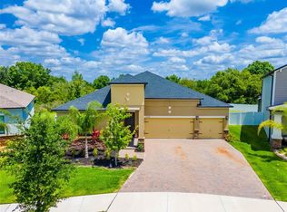 13428 White Sapphire Rd, Riverview, FL 33579