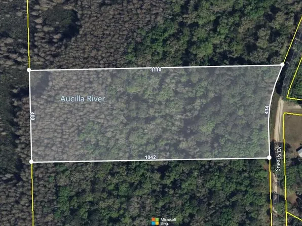 Tbd Sneads Dr, Greenville, FL 32331