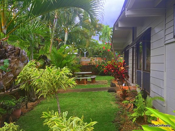 Tropical Front Yard