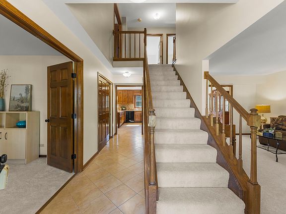 2nd image of 516 Bovidae Cir