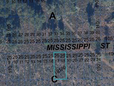 0 Mississippi Ave Lot 17, Hawthorne, FL, 32640