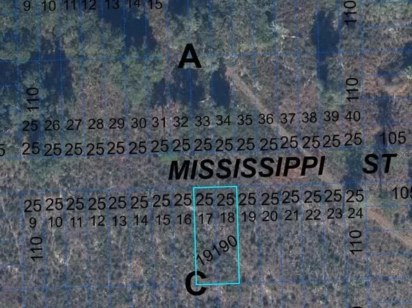 0 Mississippi Ave Lot 17, Hawthorne, FL 32640