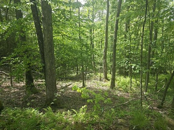 2nd image of Kyler Rd