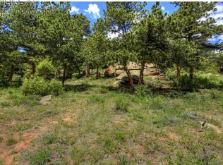 181 Old Man Mountain Ln, Estes Park, CO 80517