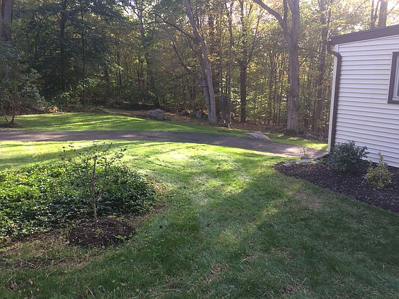 Driveway and side yard