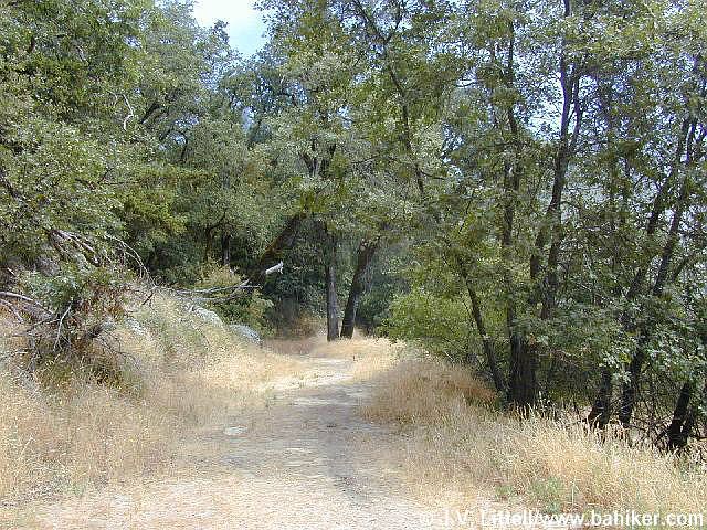 1st image of Skyline Blvd