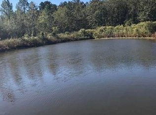 124 Yearling Ct, Ludowici, GA 31316