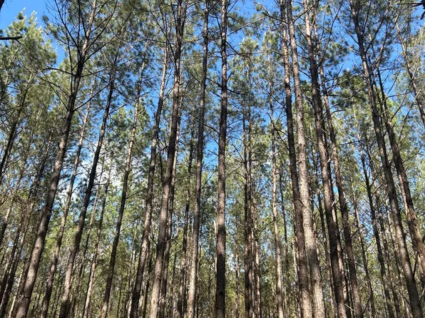 T Grimes Grimes Rd, Laurel Hill, FL 32567