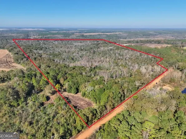 0 Bull Branch Rd, Coffee Springs, AL 36318