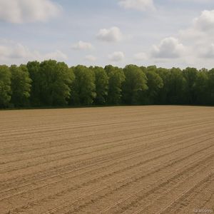 0 Long Lake Rd, Reading, MI, 49274