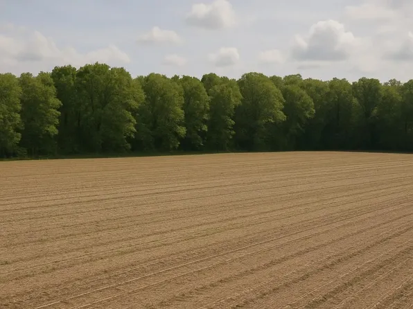 0 Long Lake Rd, Reading, MI 49274