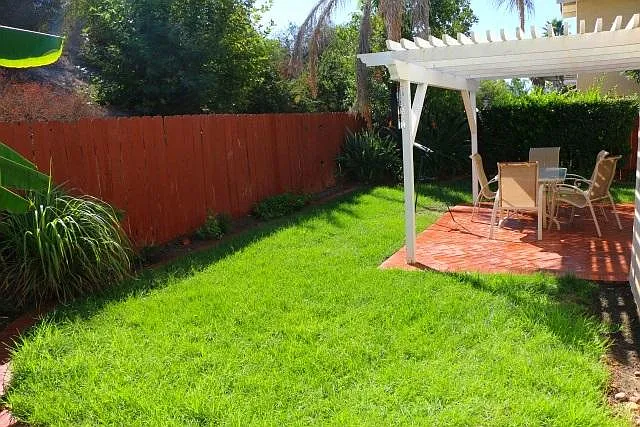 Backyard (No neighbors behind)