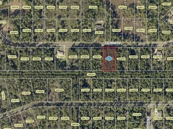 Apricot Ave Lot 17, Eustis, FL 32736