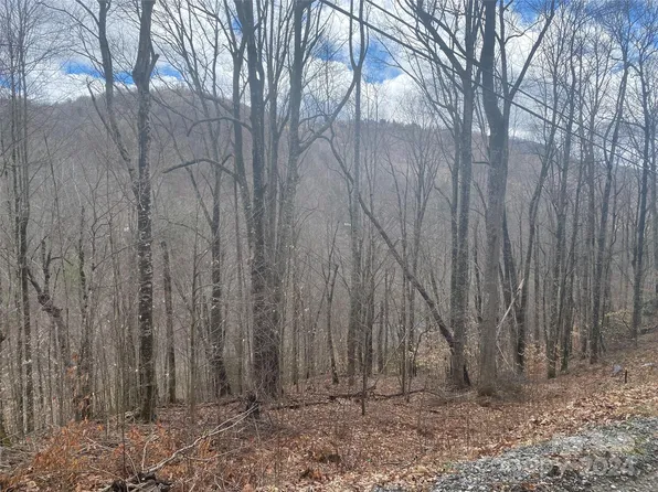 Fox Den Rd, Mars Hill, NC 28754