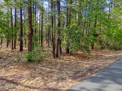 7202 Tall Pine Dr, Pinetop, AZ, 85935