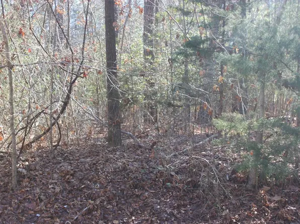 2043 Neptune Ct, Greenbackville, VA 23356