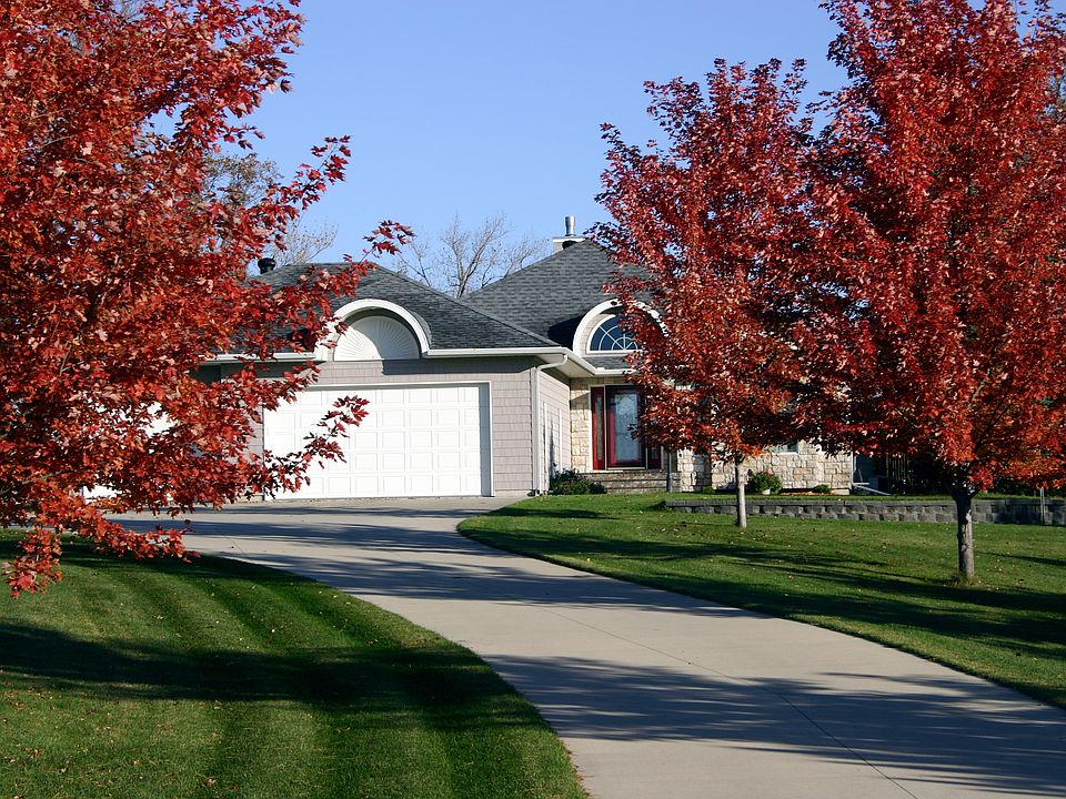 Red Maples line the Driveway
