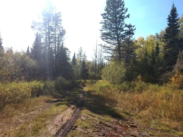 On Dinky Rd, Marenisco, MI 49947