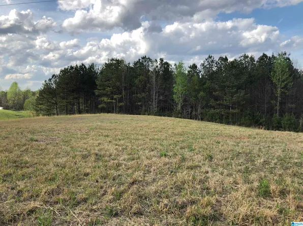 0 County Road 835 #1, Clanton, AL 35046
