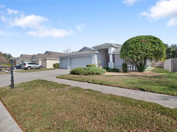 12903 Lake Ventana Dr, Tampa, FL 33625