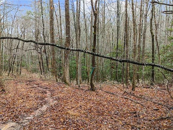 5th image of 5 Still Rd