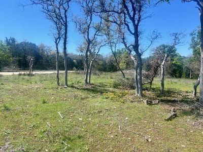 290 Estralla Cv, Blanco, TX, 78606